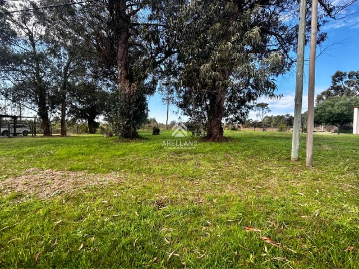 Terreno ID.6203 - 1000m2 en Pinares Punta del Este