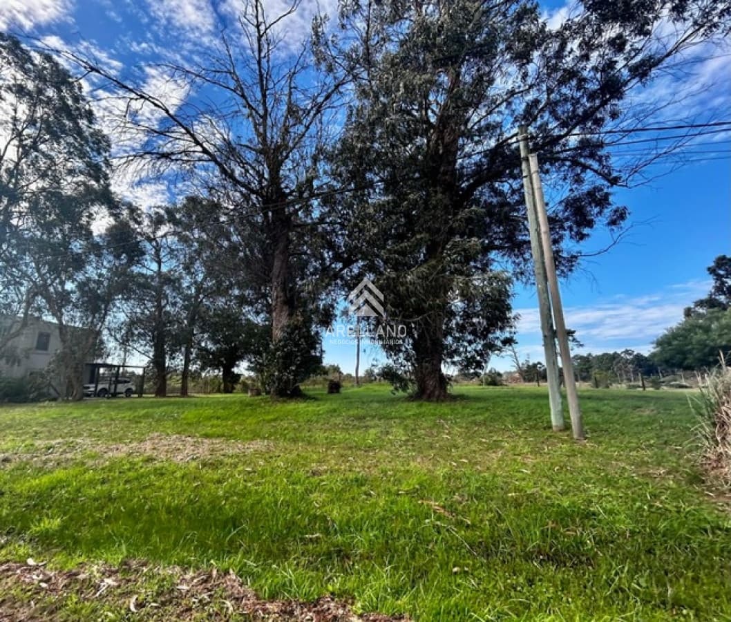 Terreno ID.6203 - 1000m2 en Pinares Punta del Este