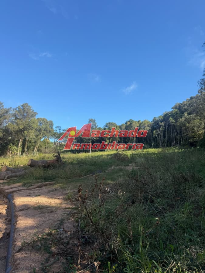 Oportunidad de terreno en venta en Las Grutas