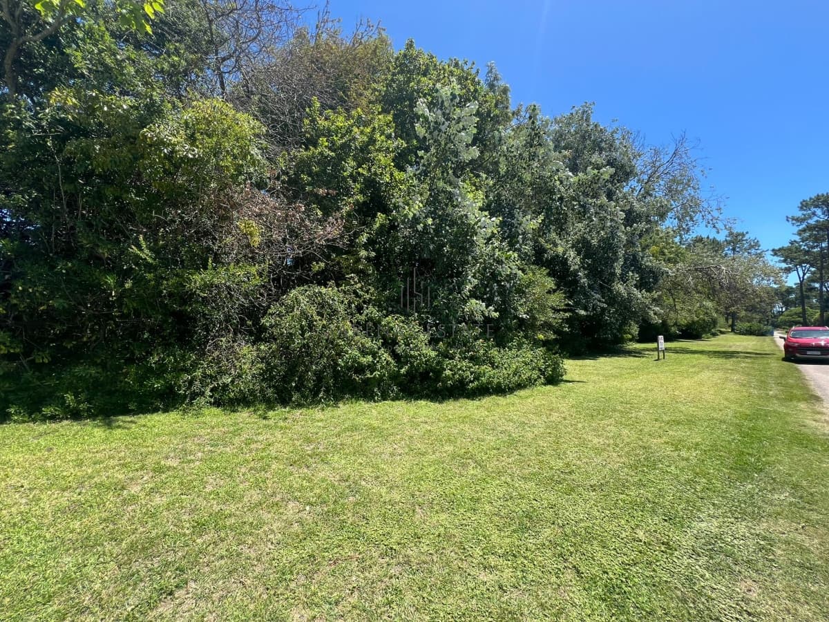 Terreno ID.2718 - Terrenos Posibles de dividir en San Rafael