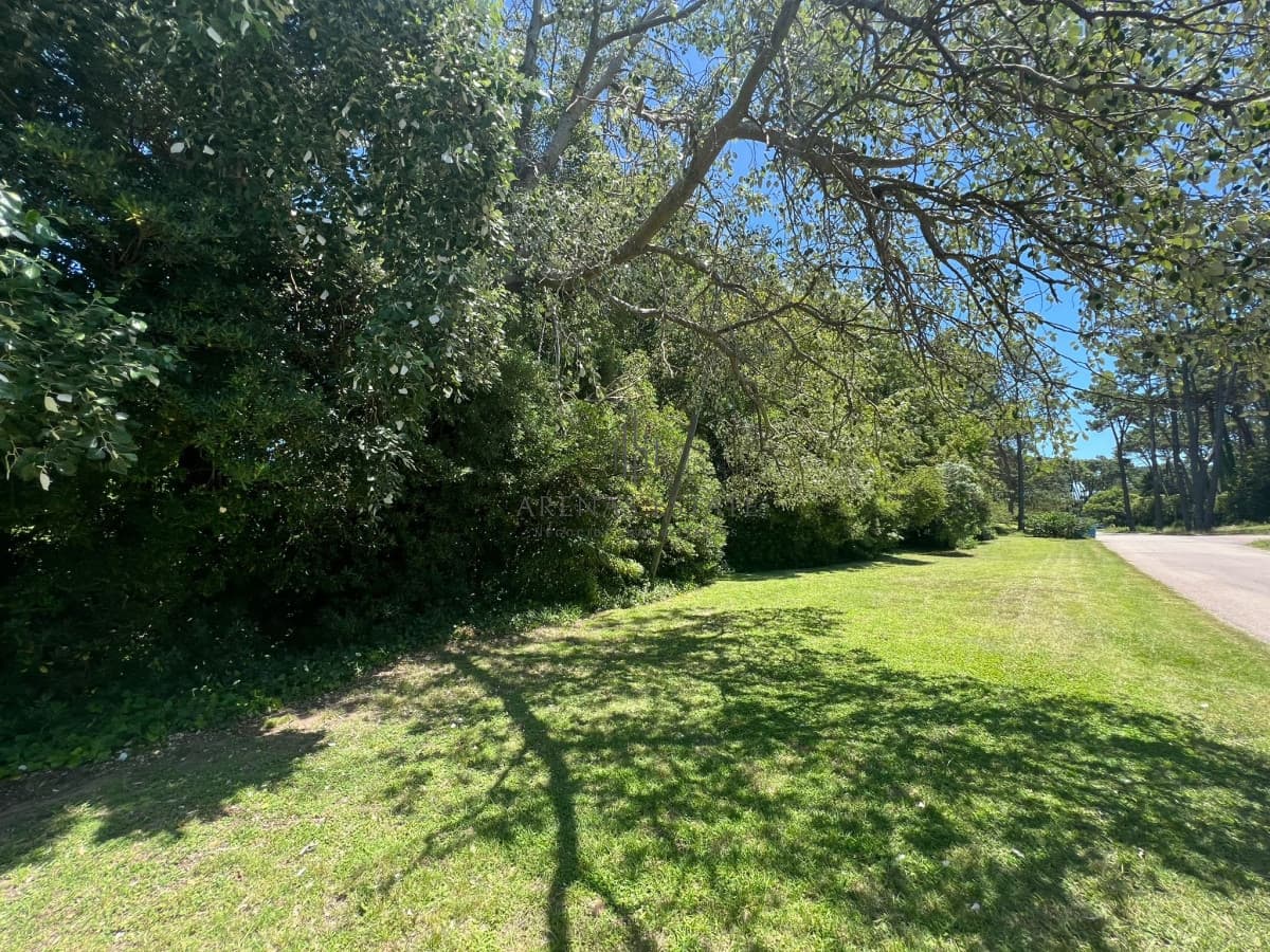 Terreno ID.2718 - Terrenos Posibles de dividir en San Rafael