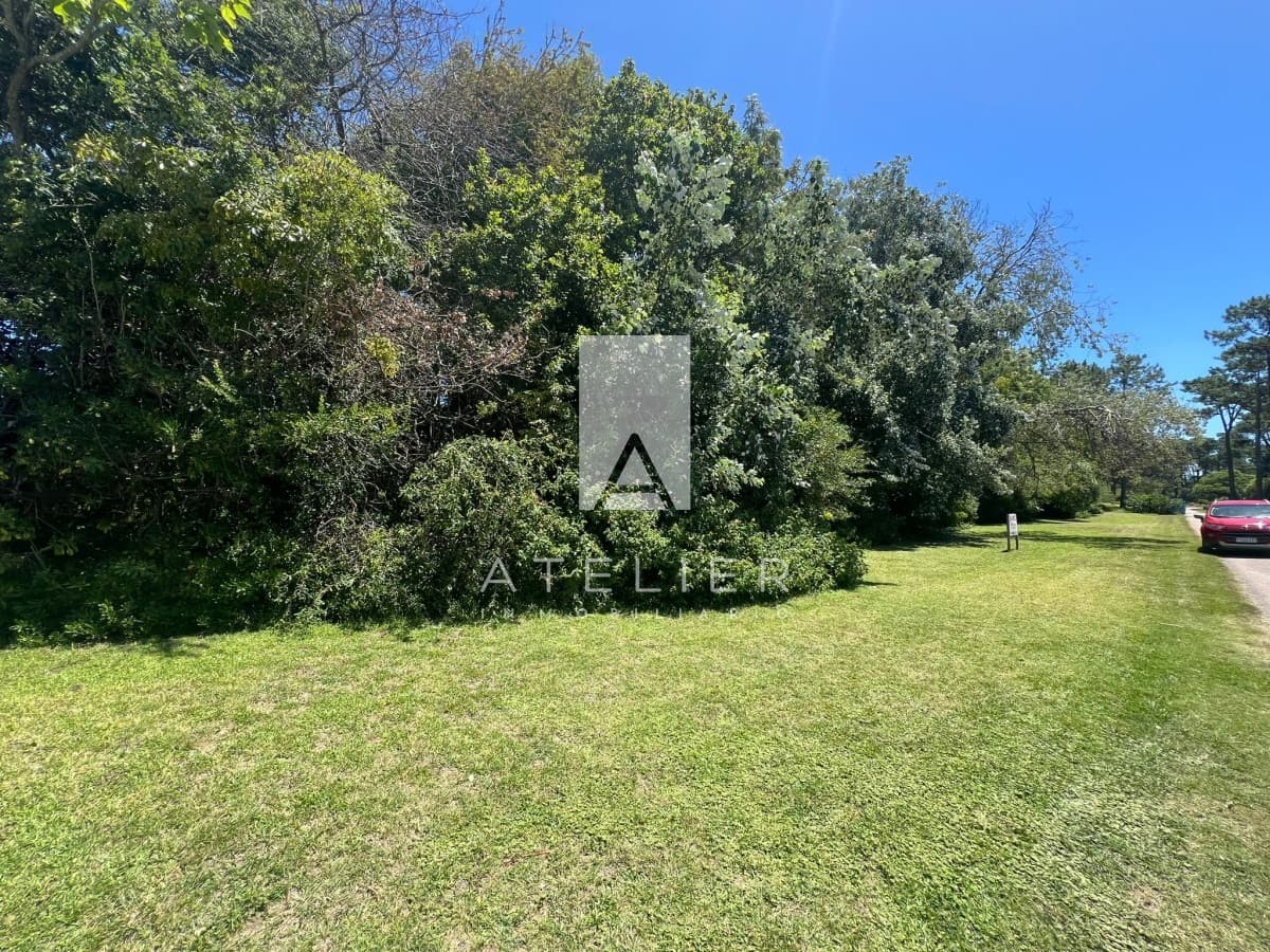 Venta de terreno en San Rafael a pasos de la playa.