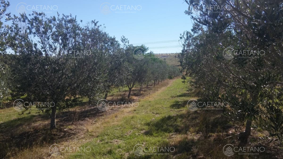 Chacra sobre ruta 12 en venta!