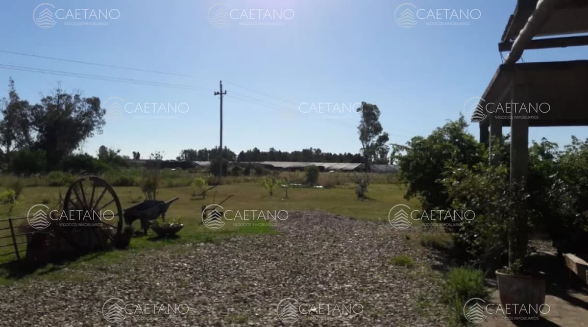 -Chacra de 3 hectáreas en San Carlos.