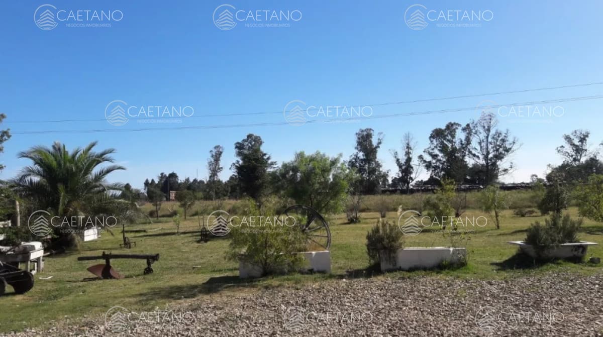 -Chacra de 3 hectáreas en San Carlos.