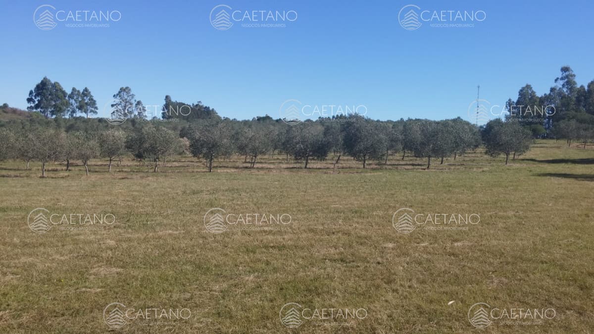 Chacra sobre ruta 12 en venta!