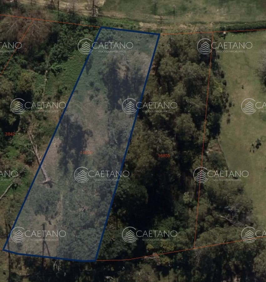Terreno de gran superficie sobre la cancha de Golf