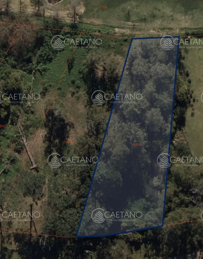 Terreno de gran superficie sobre la cancha de Golf