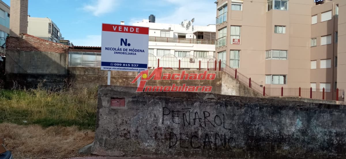 Solicitar Información