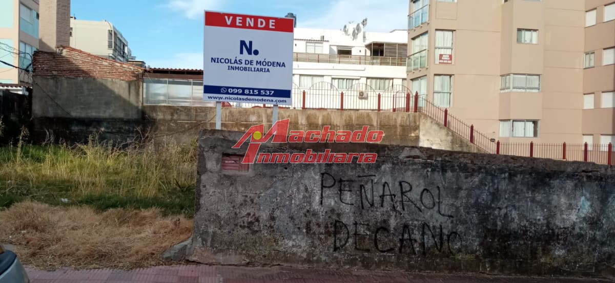 Solicitar Información