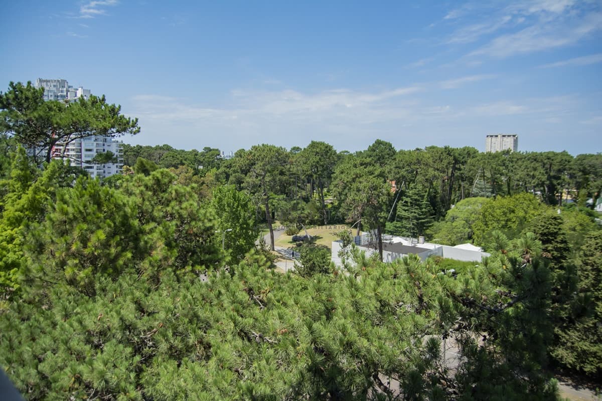 Apartamento ID.1028 - Departamento de 4 dormitorios en venta en Roosevelt.