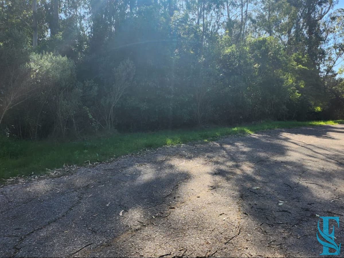 Vende terreno amplio de 4226 m2, en Las Cumbres- Punta Ballena.