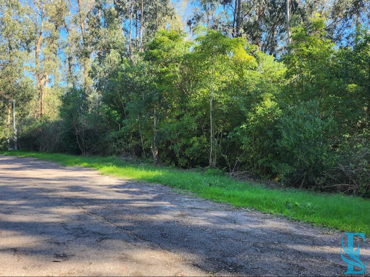 Vende terreno amplio de 4226 m2, en Las Cumbres- Punta Ballena.