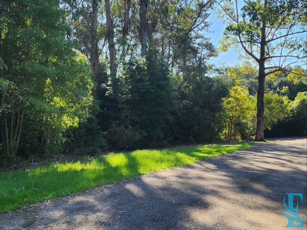 Vende terreno amplio de 4226 m2, en Las Cumbres- Punta Ballena.