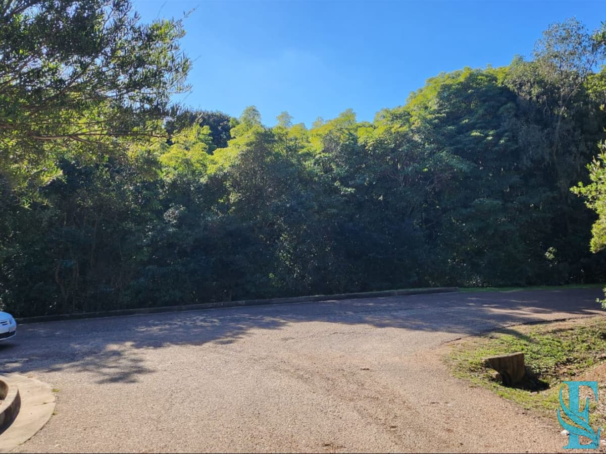 Vende terreno amplio de 4226 m2, en Las Cumbres- Punta Ballena.