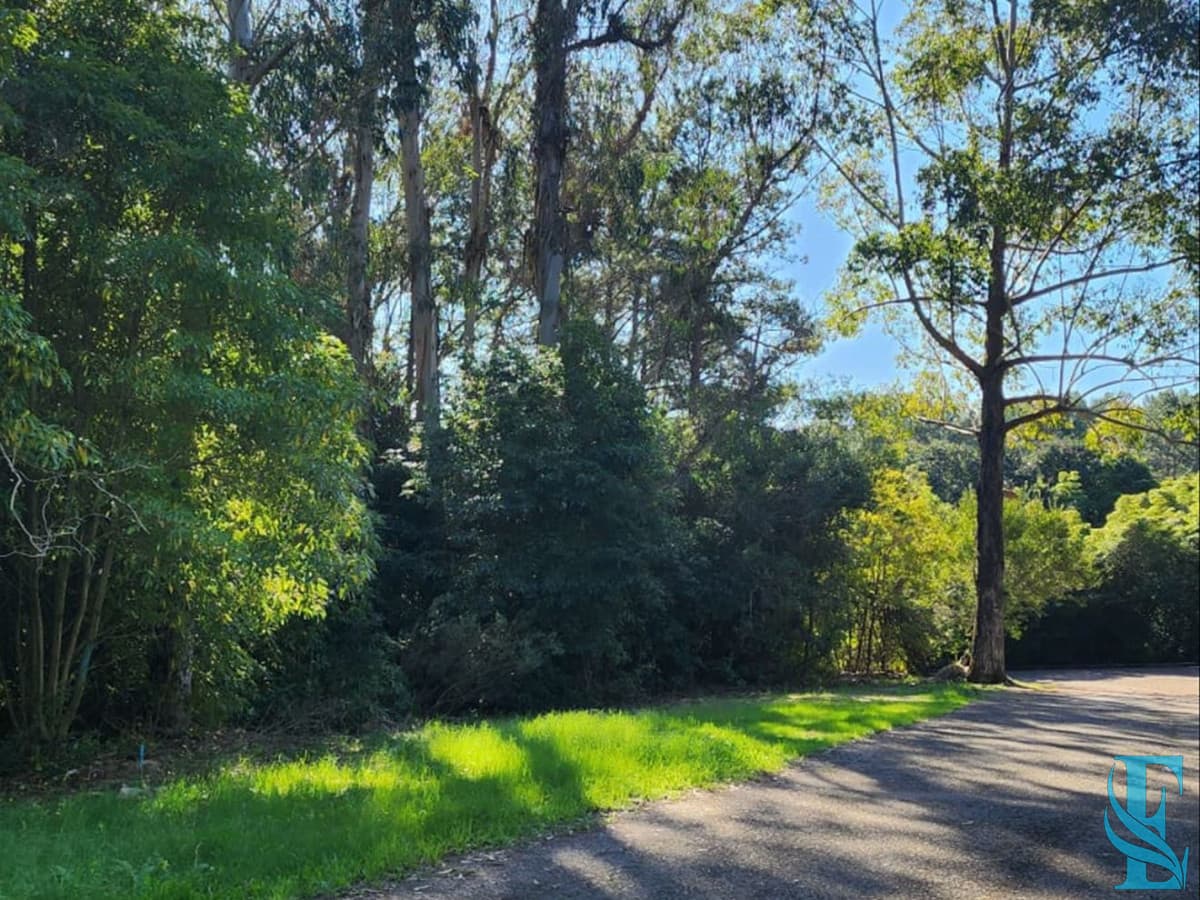 Vende terreno amplio de 4226 m2, en Las Cumbres- Punta Ballena.