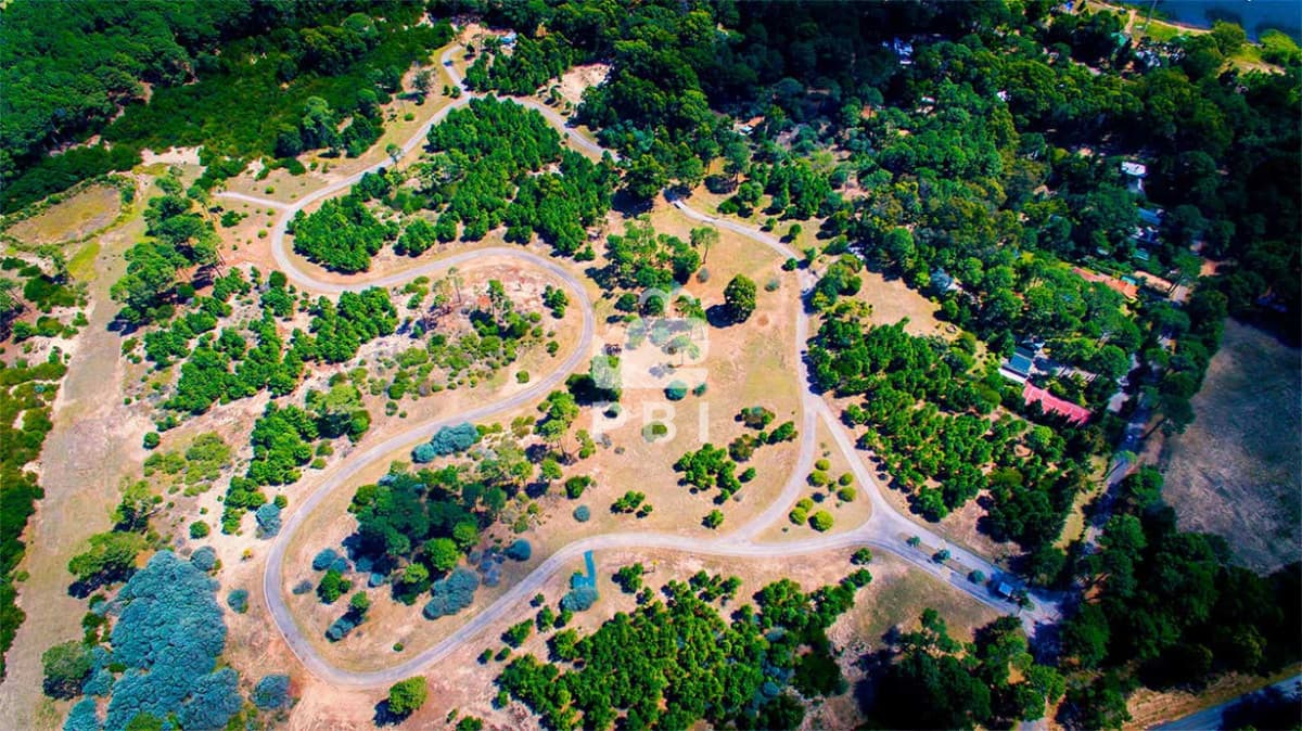 Departamentos y Casas en Punta del Este, Alquileres