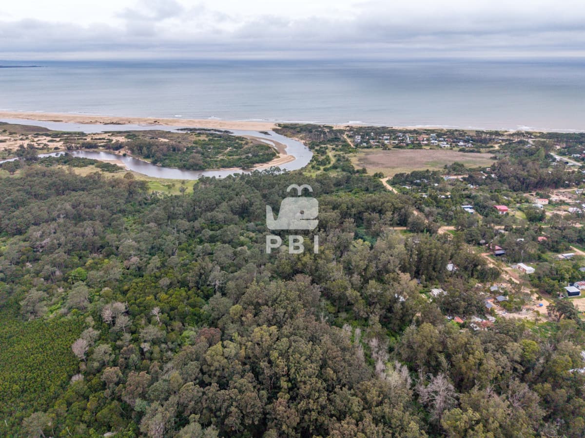 Departamentos y Casas en Punta del Este, Alquileres