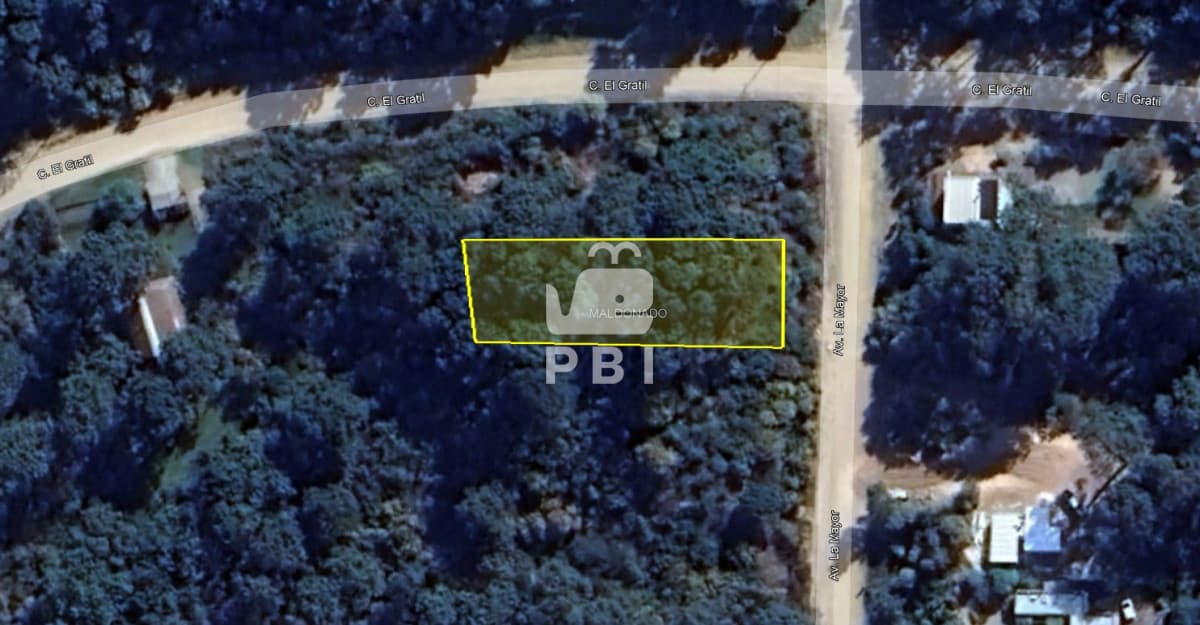 Departamentos y Casas en Punta del Este, Alquileres