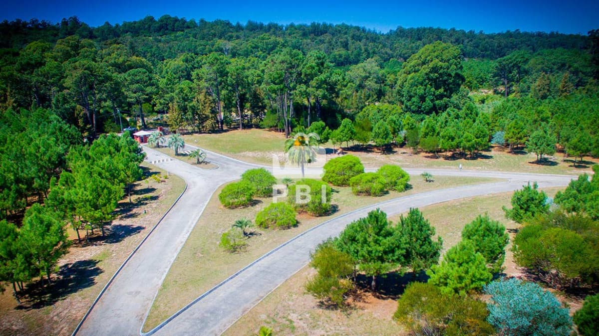 Departamentos y Casas en Punta del Este, Alquileres