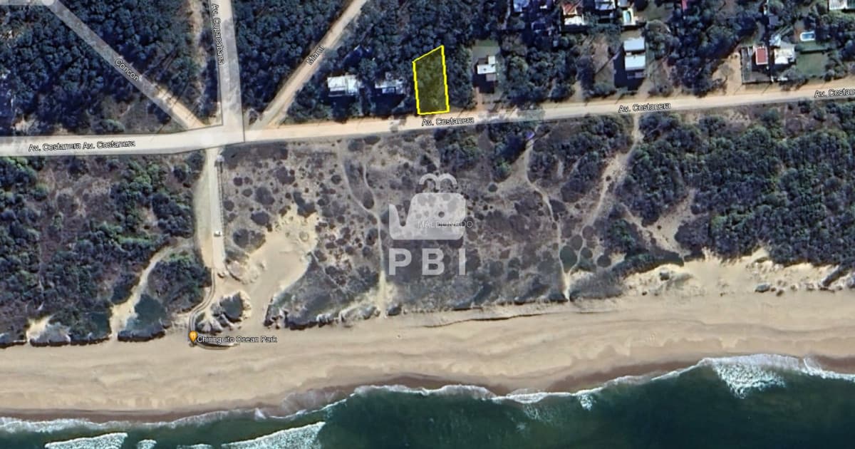 Departamentos y Casas en Punta del Este, Alquileres