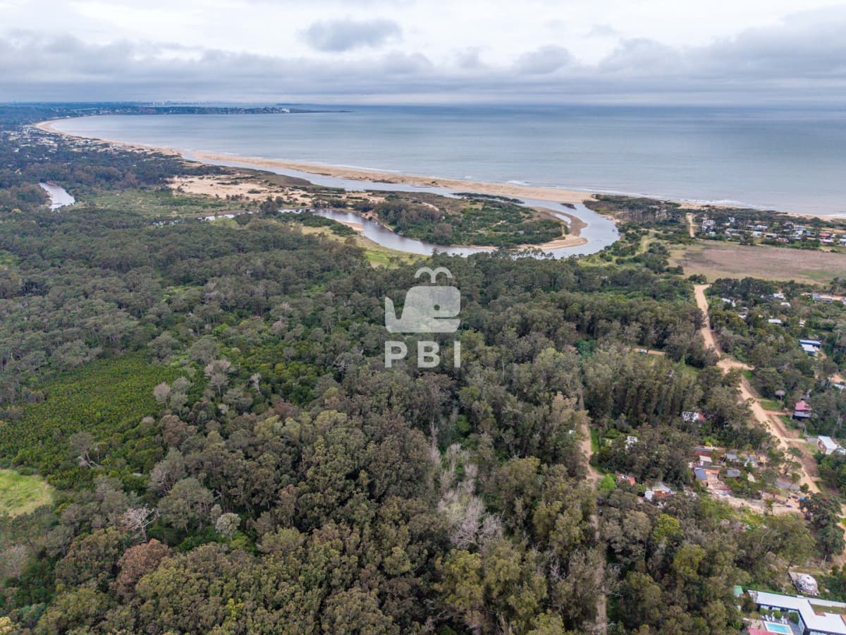 Departamentos y Casas en Punta del Este, Alquileres