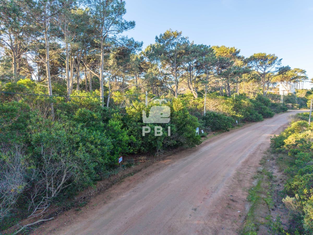 Departamentos y Casas en Punta del Este, Alquileres