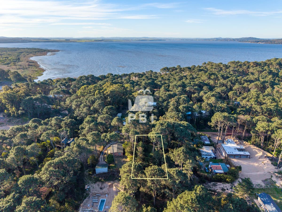 Departamentos y Casas en Punta del Este, Alquileres