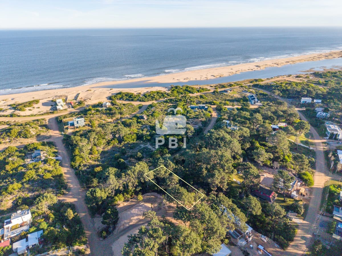 Departamentos y Casas en Punta del Este, Alquileres