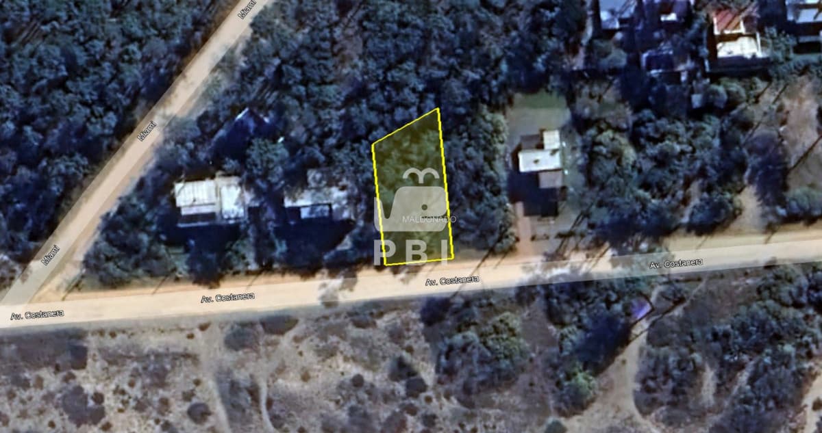 Departamentos y Casas en Punta del Este, Alquileres