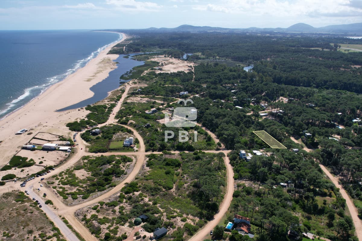 Departamentos y Casas en Punta del Este, Alquileres