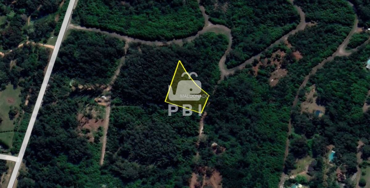 Departamentos y Casas en Punta del Este, Alquileres