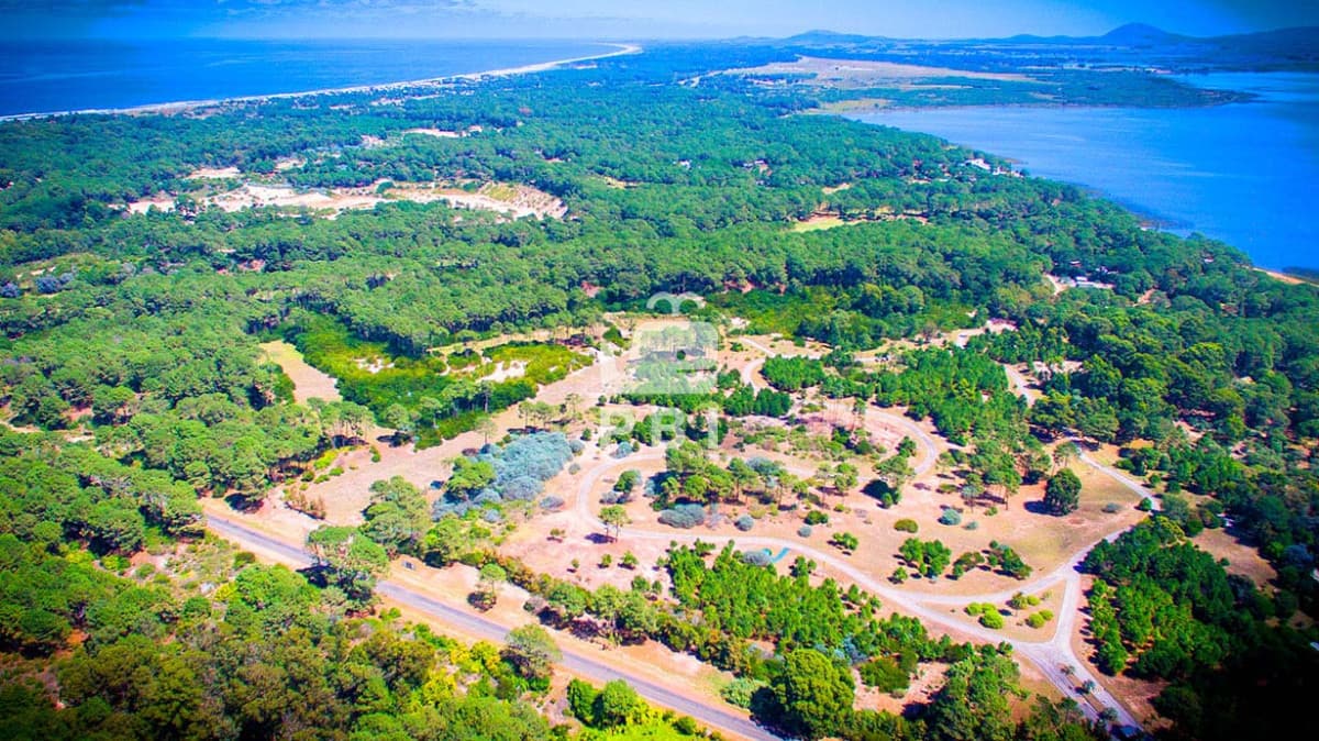 Departamentos y Casas en Punta del Este, Alquileres