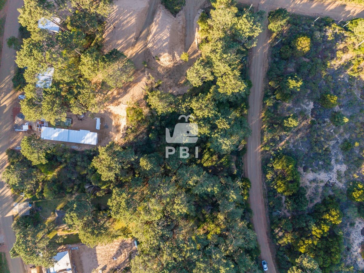 Departamentos y Casas en Punta del Este, Alquileres