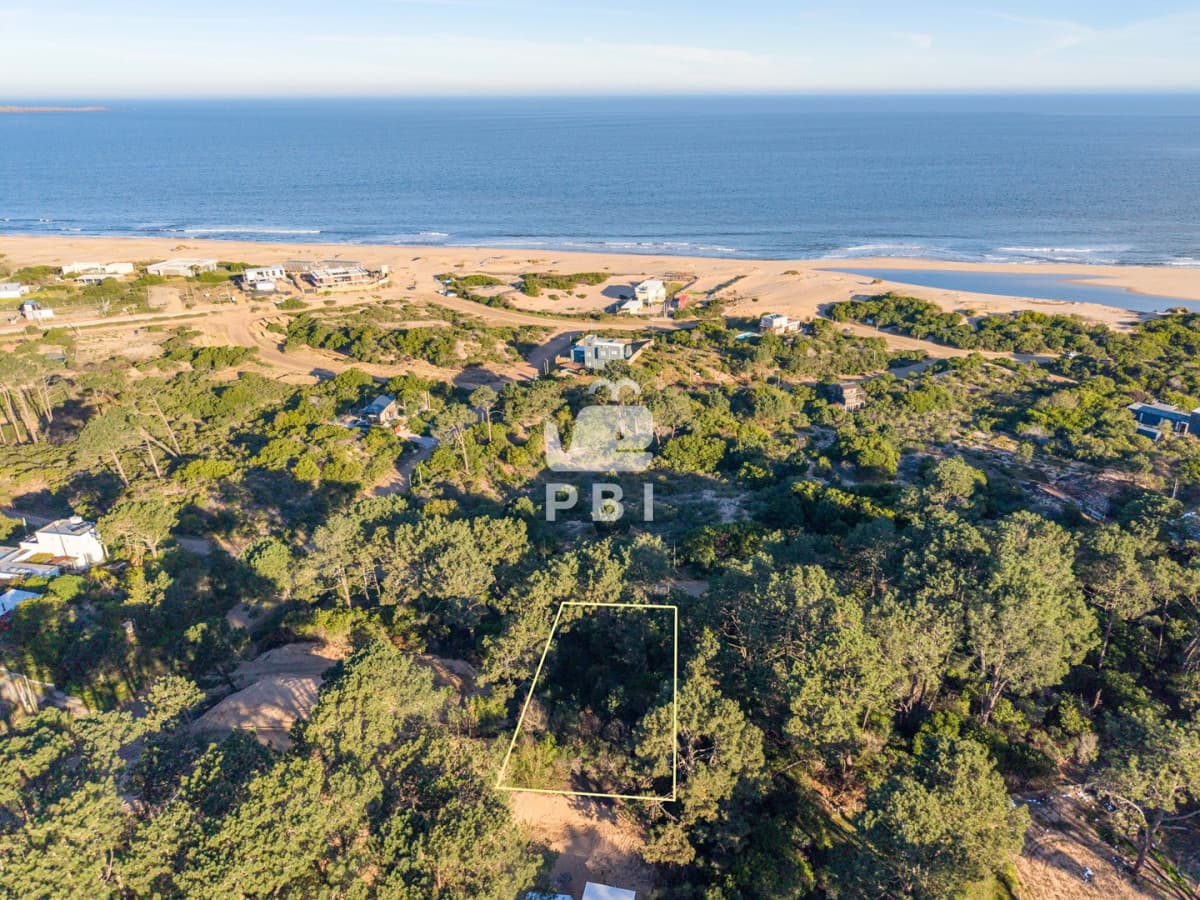 Departamentos y Casas en Punta del Este, Alquileres