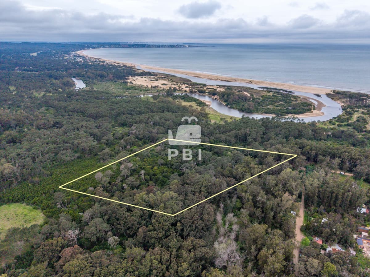 Departamentos y Casas en Punta del Este, Alquileres