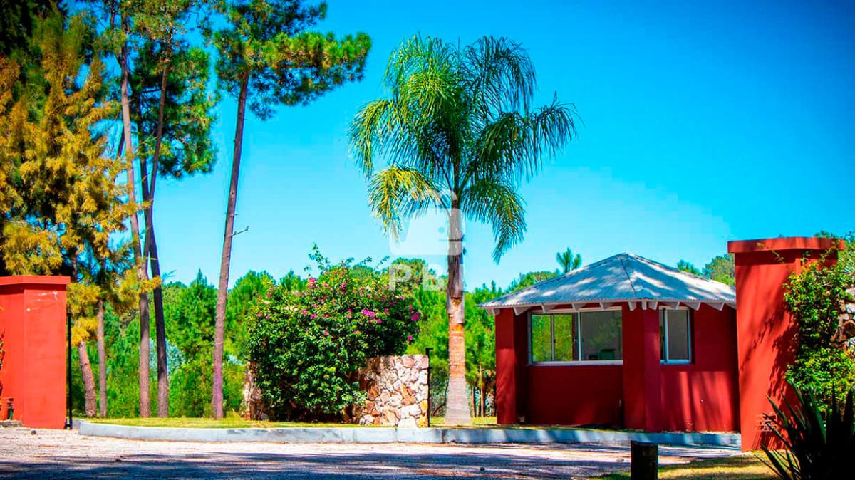Departamentos y Casas en Punta del Este, Alquileres