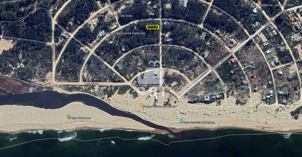 Departamentos y Casas en Punta del Este, Alquileres