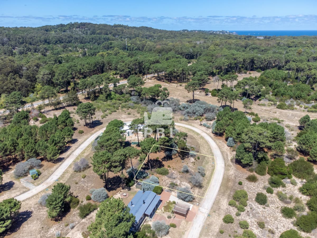 Departamentos y Casas en Punta del Este, Alquileres