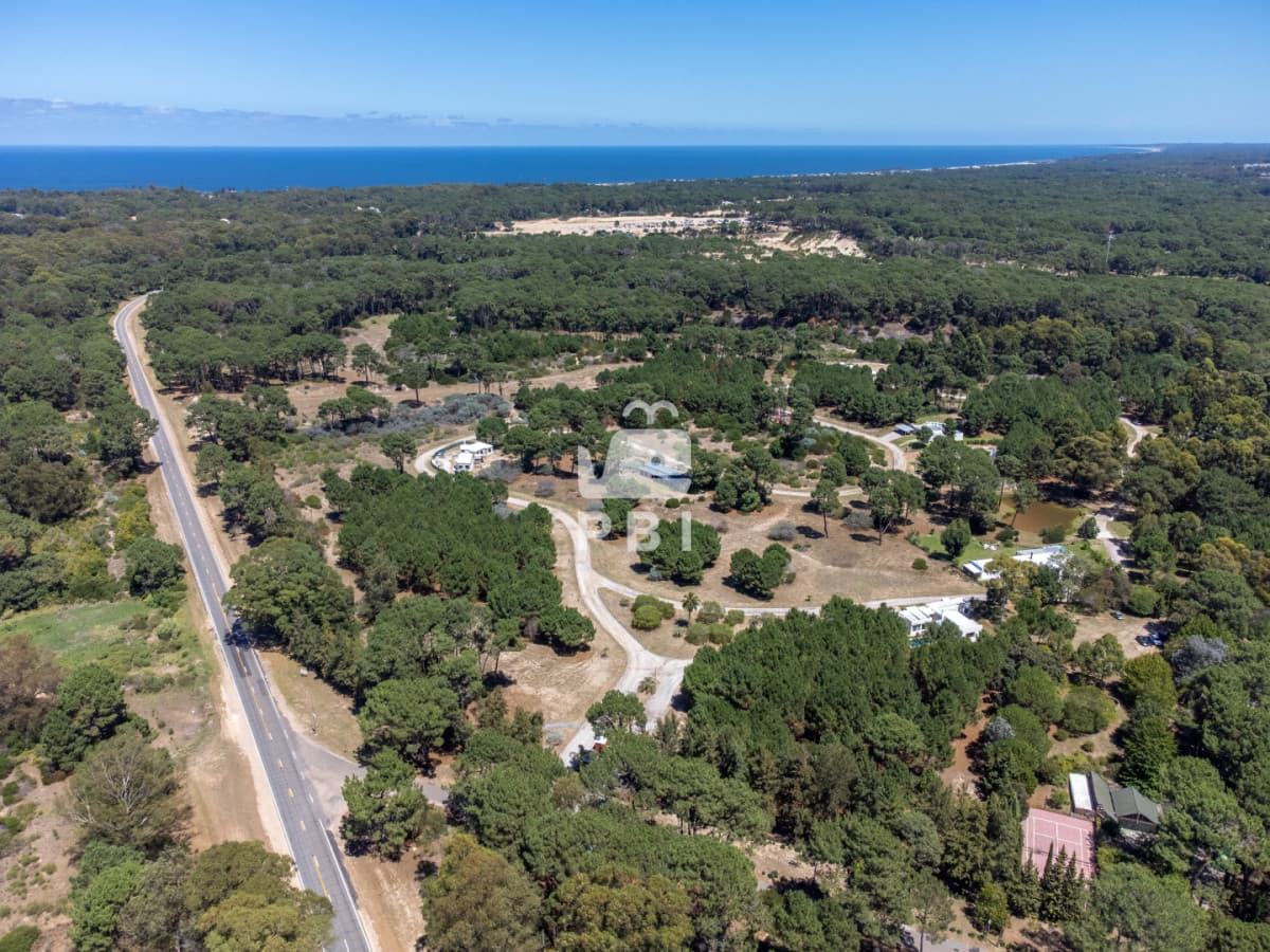 Departamentos y Casas en Punta del Este, Alquileres
