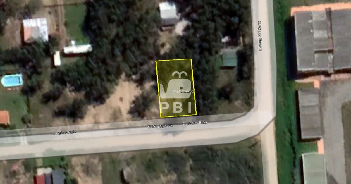 Departamentos y Casas en Punta del Este, Alquileres