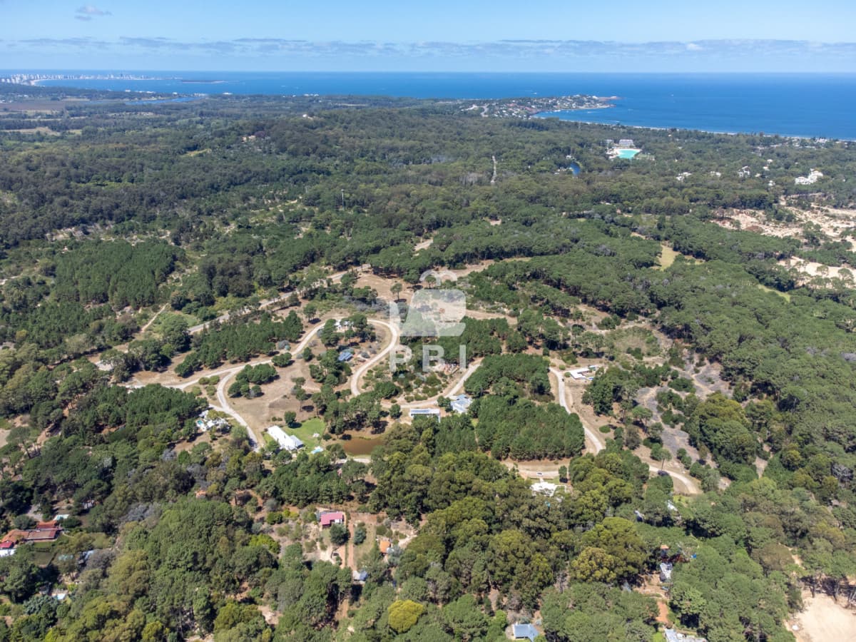 Departamentos y Casas en Punta del Este, Alquileres