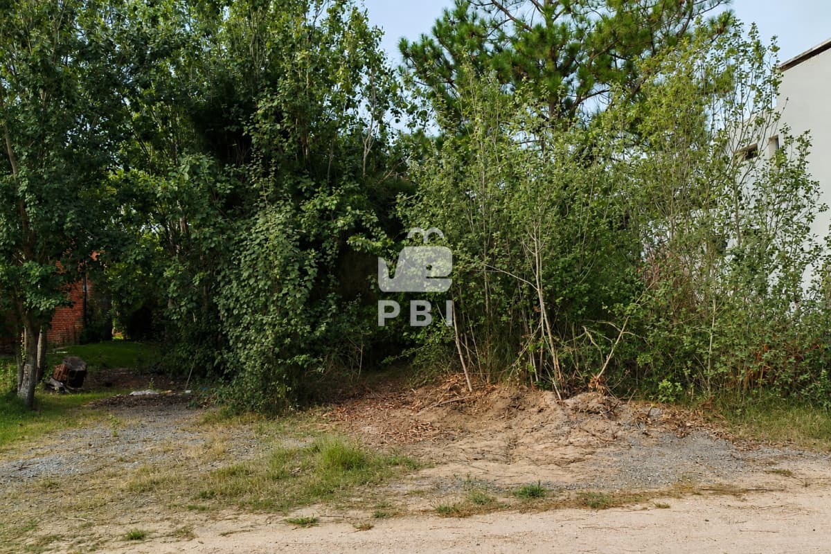 Departamentos y Casas en Punta del Este, Alquileres