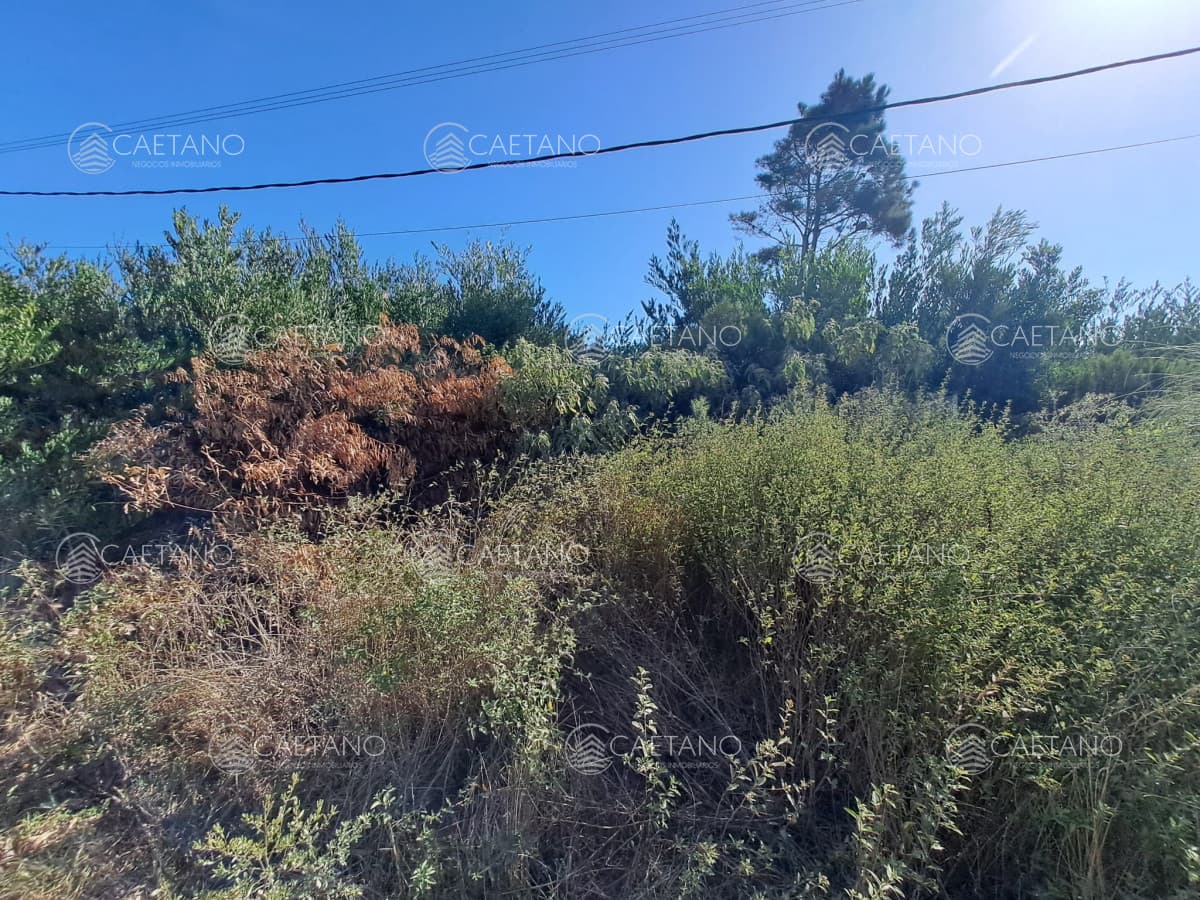 Venta de lote. ¡ Oportunidad con vista al Mar !
