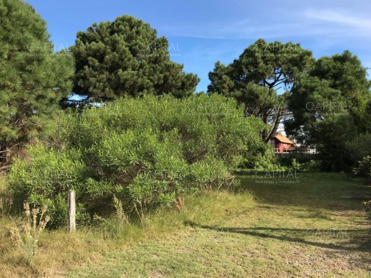 Terreno en venta Tio Tom