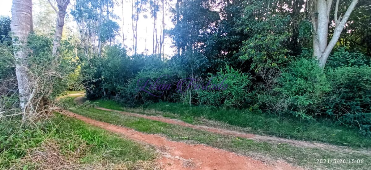 TERRENO EN PUNTA BALLENA ZONA RESIDENCIAL - Lilian Furtado Negocios Inmobiliarios