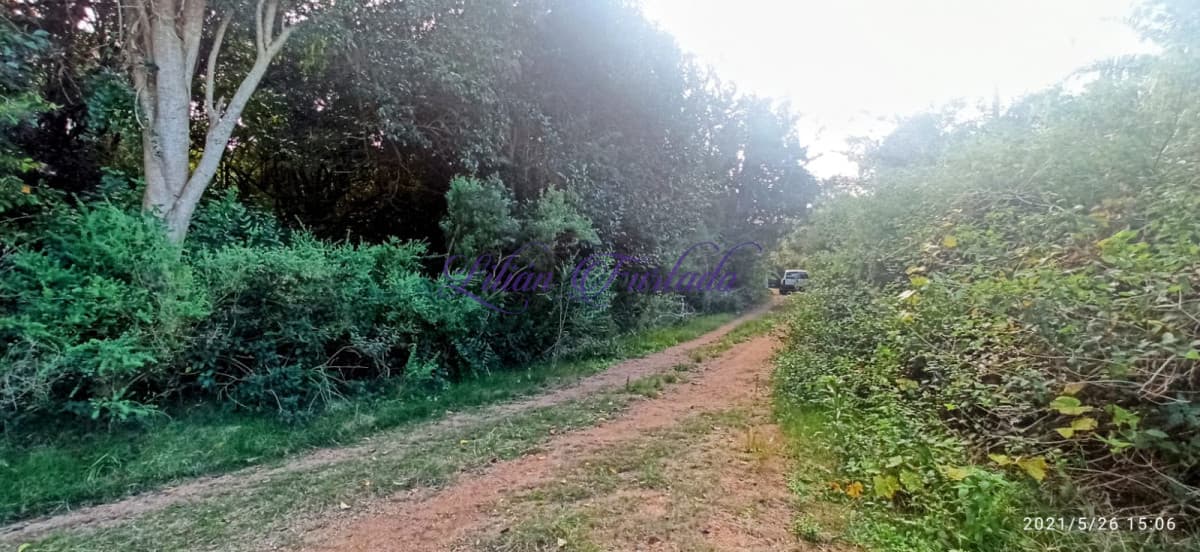 TERRENO EN PUNTA BALLENA ZONA RESIDENCIAL - Lilian Furtado Negocios Inmobiliarios
