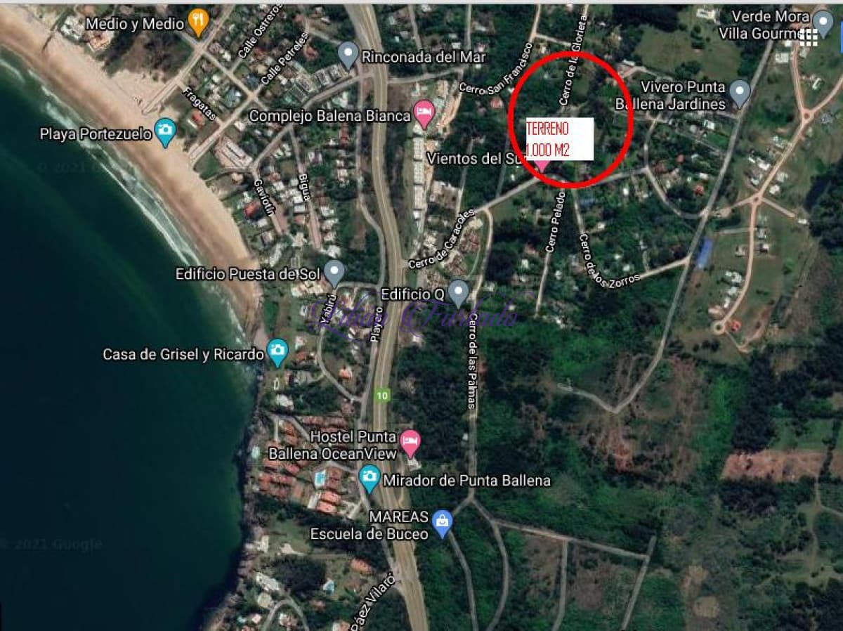 TERRENO EN PUNTA BALLENA ZONA RESIDENCIAL - Lilian Furtado Negocios Inmobiliarios