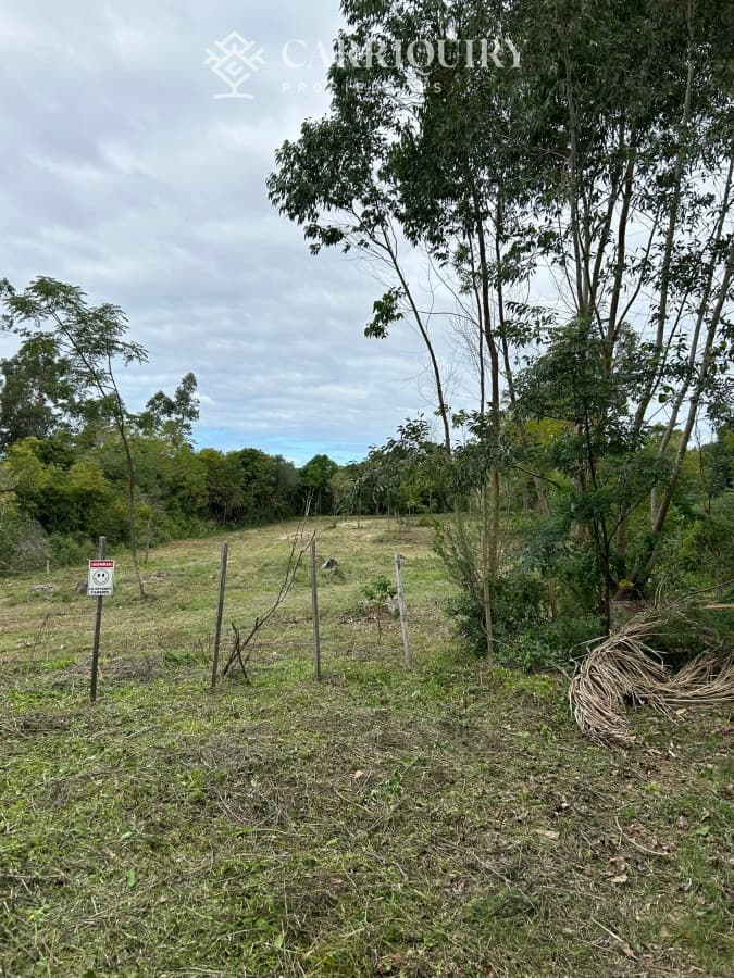 Punta Ballena hermoso terreno de 1700m2  ideal para residencia permanente en zona residencial.  -
