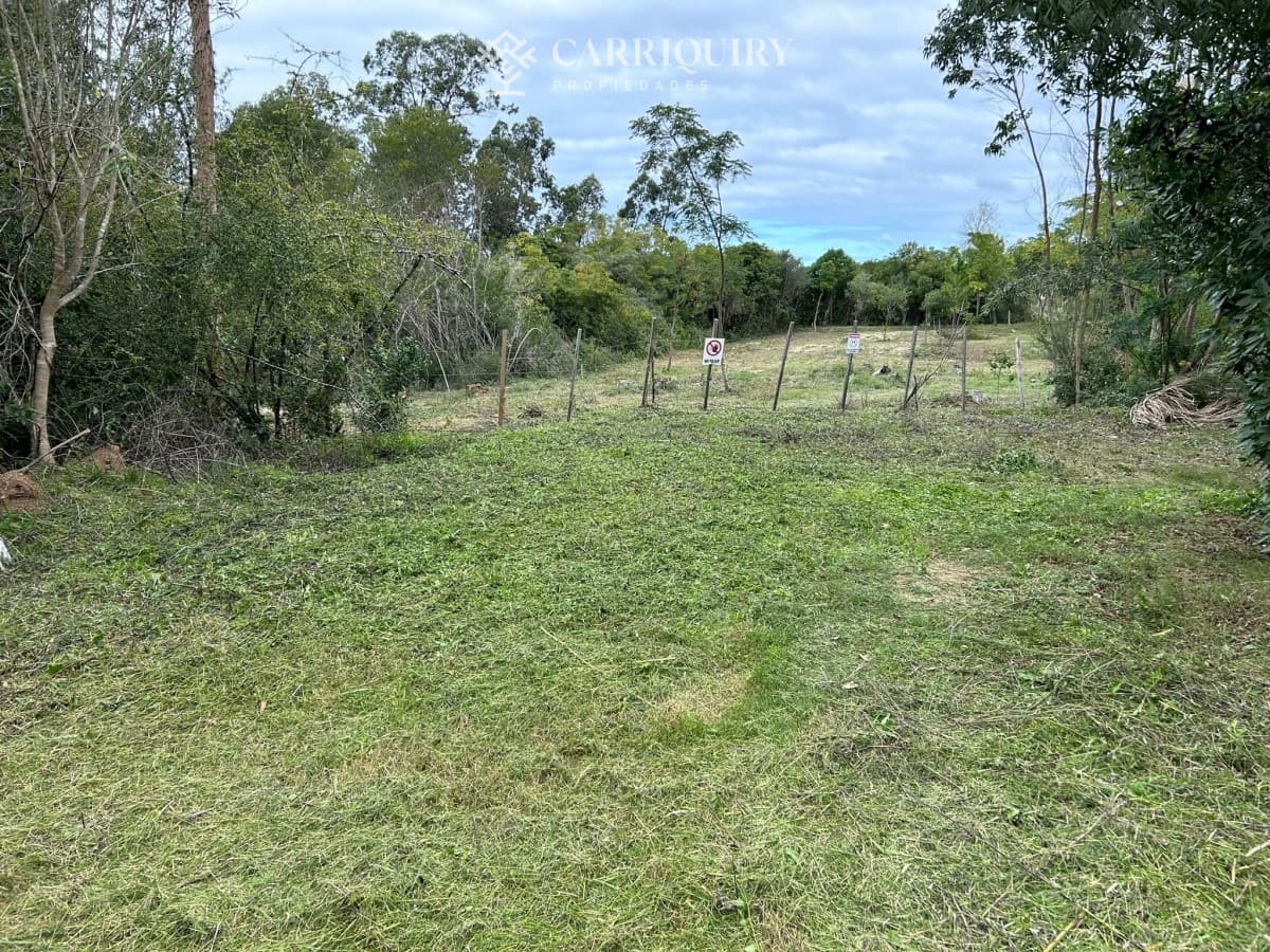 Punta Ballena hermoso terreno de 1700m2  ideal para residencia permanente en zona residencial.  -